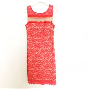 Bailey44 Burnt Orange/Autumn Mesh Lace Dress